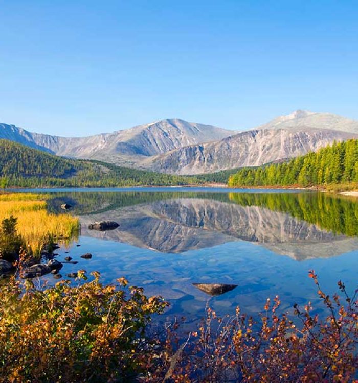 Into the Wild: Adventures in the Heart of Nature